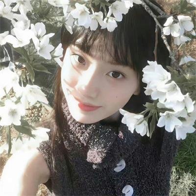 刑事7人 第四季